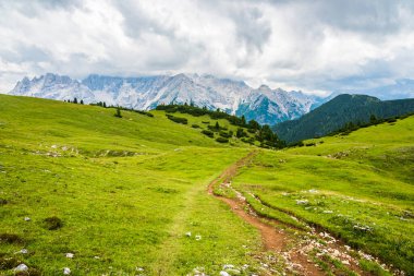 Doğanın güzel manzarası