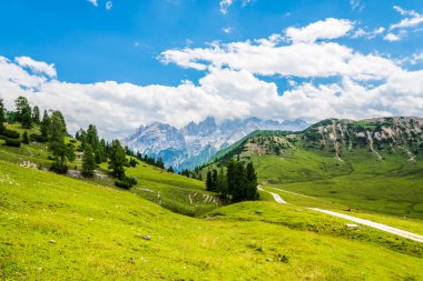 Doğanın güzel manzarası