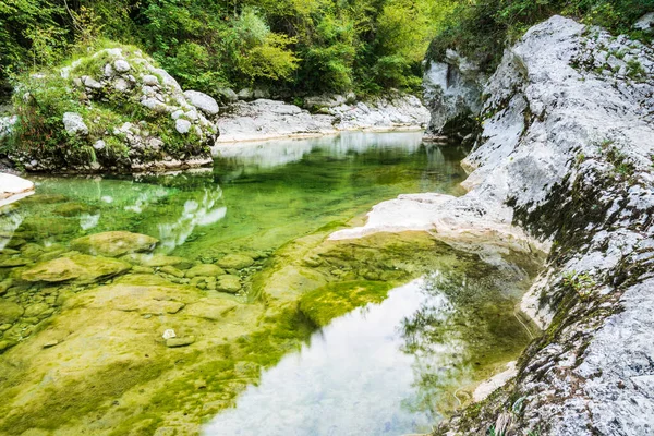 Bella Vista Della Scena Della Natura — Foto Stock