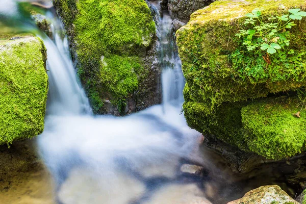 Schöne Aussicht Auf Die Natur — Stockfoto