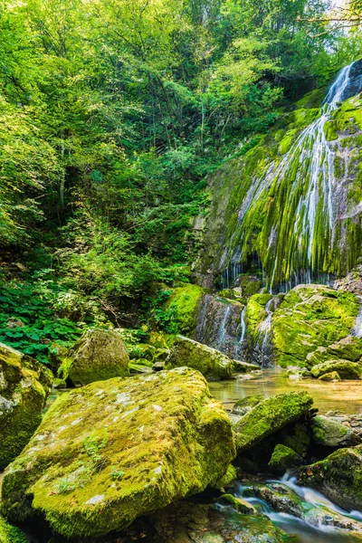 Bella Vista Della Scena Della Natura — Foto Stock