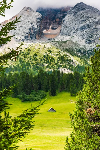 Bella Vista Della Scena Della Natura — Foto Stock