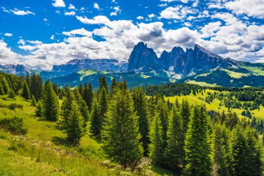 Doğanın güzel manzarası