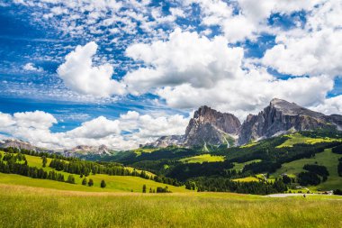 Doğanın güzel manzarası