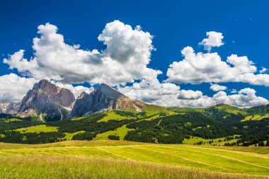 Doğanın güzel manzarası