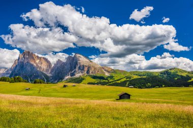 Doğanın güzel manzarası