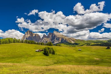 Doğanın güzel manzarası