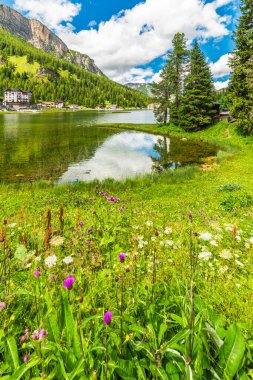Doğanın güzel manzarası