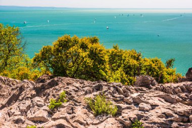 Doğanın güzel manzarası