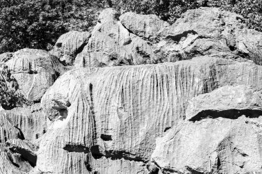 Doğanın güzel manzarası