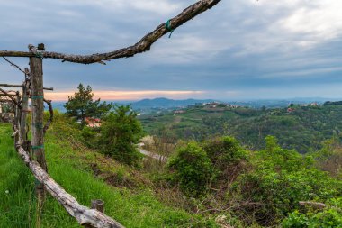 Gorizia, İtalya 'nın Friuli Venezia Giulia eyaletinde yer alan bir şehirdir.