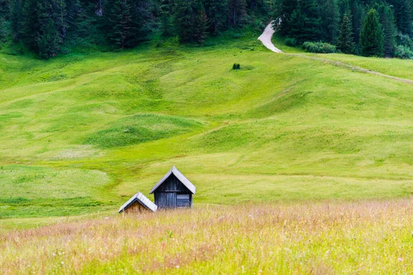 Bella Vista Della Scena Della Natura — Foto Stock