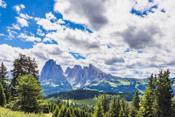 Doğanın güzel manzarası