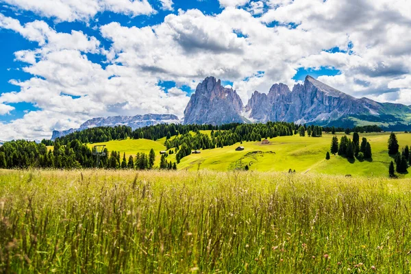 Doğanın güzel manzarası