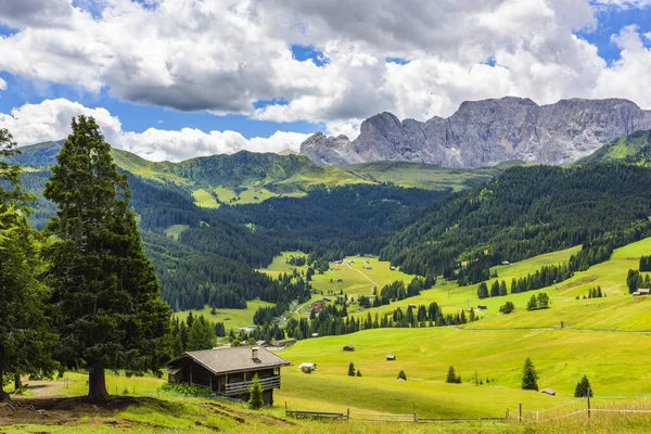 Doğanın güzel manzarası