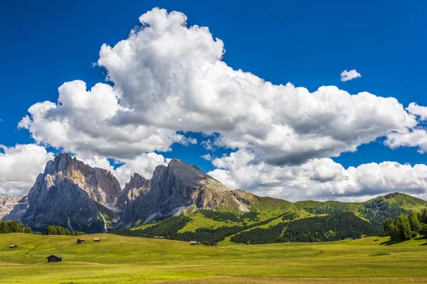 Doğanın Güzel Manzarası — Stok fotoğraf