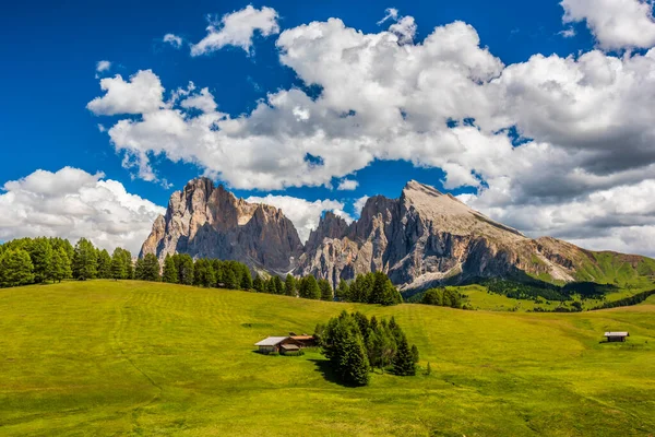 Doğanın Güzel Manzarası — Stok fotoğraf