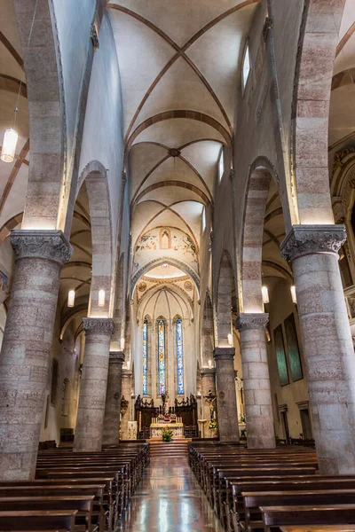 Intérieur Cathédrale Gemona Del Friuli — Photo