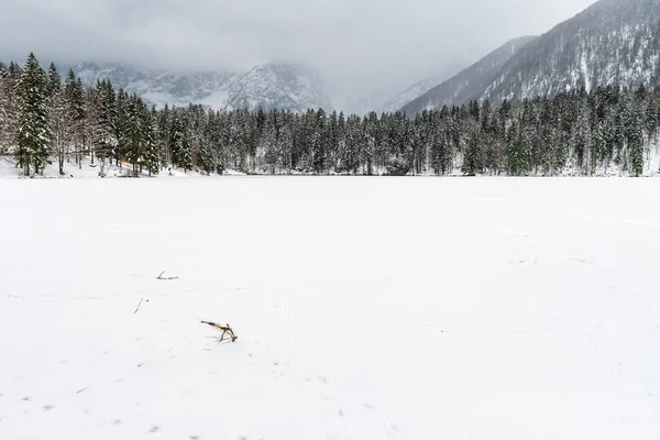 Inverno Gelado Friuli Venezia Giulia Italia — Fotografia de Stock