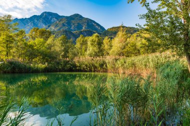 Güzel Lago di Cavazzo Alplerde