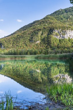 Güzel Lago di Cavazzo Alplerde