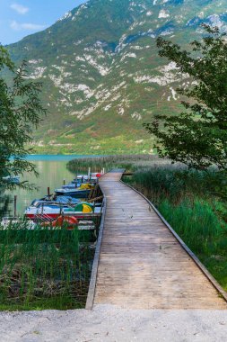 Güzel Lago di Cavazzo Alplerde