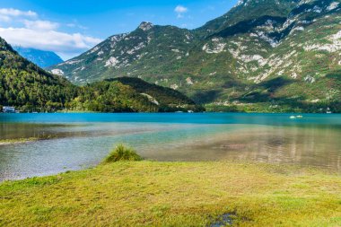Güzel Lago di Cavazzo Alplerde