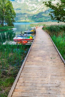 Güzel Lago di Cavazzo Alplerde