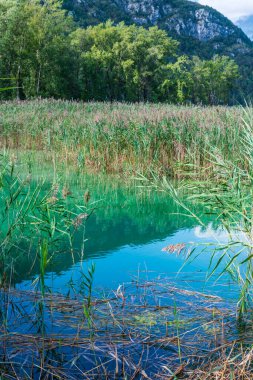 Güzel Lago di Cavazzo Alplerde