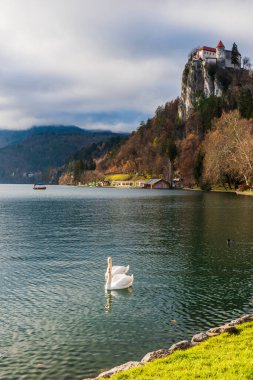 Gölde güzel kuğular kanadı.