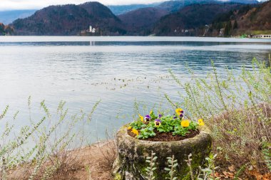 Kan, Slovenya 'nın eski kenti