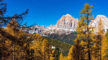 Dolomite Apls, Cortina D 'Ampezzo, İtalya' daki Sonbahar Dağları manzarası