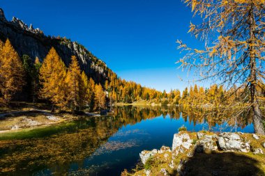 İtalya 'da Dolomite Apls ve Federa Gölü' ndeki Sonbahar Dağları manzarası