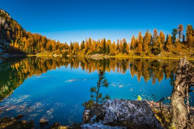 İtalya 'da Dolomite Apls ve Federa Gölü' ndeki Sonbahar Dağları manzarası