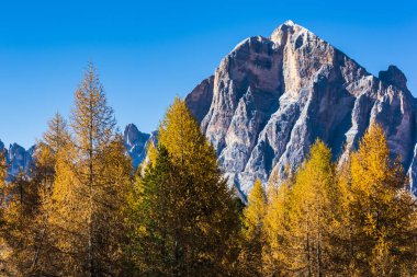 Dolomite Apls, Cortina D 'Ampezzo, İtalya' daki Sonbahar Dağları manzarası