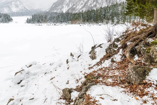 Hiver Givré Dans Frioul Vénétie Julienne Italie — Photo