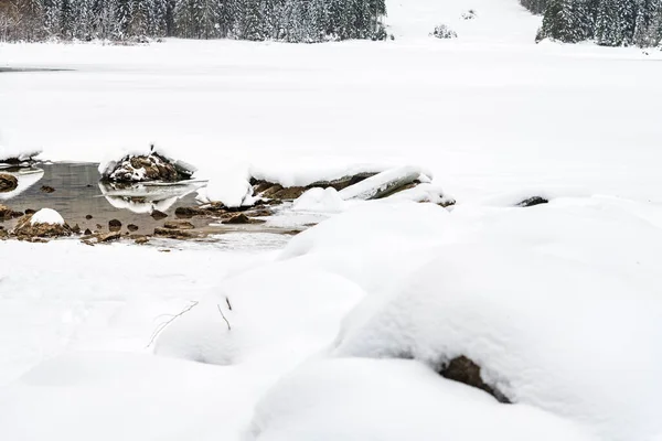 Hiver Givré Dans Frioul Vénétie Julienne Italie — Photo