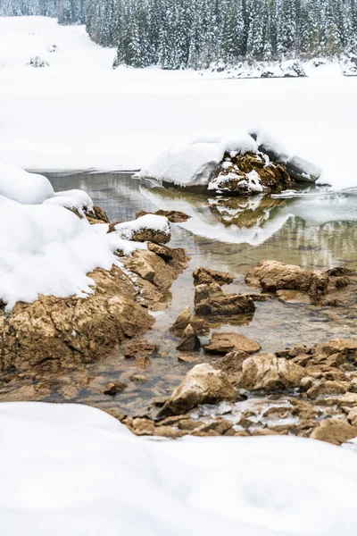 Inverno Gelado Friuli Venezia Giulia Italia — Fotografia de Stock