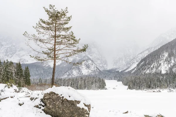 Mroźna Zima Friuli Wenecja Julijska Włochy — Zdjęcie stockowe