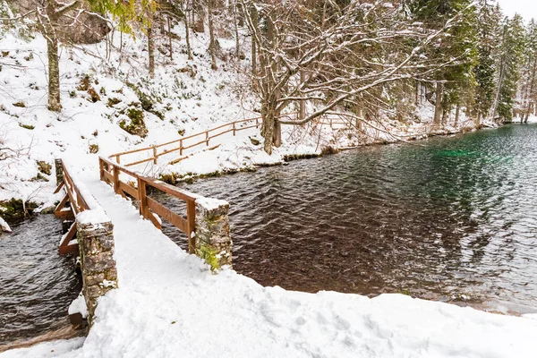 Frosty Winter Friuli Venezia Giulia Italië — Stockfoto