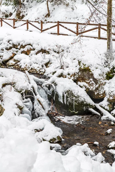 Hiver Givré Dans Frioul Vénétie Julienne Italie — Photo