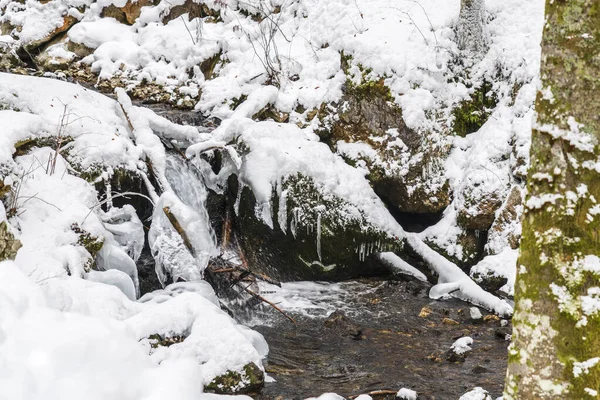 Hiver Givré Dans Frioul Vénétie Julienne Italie — Photo