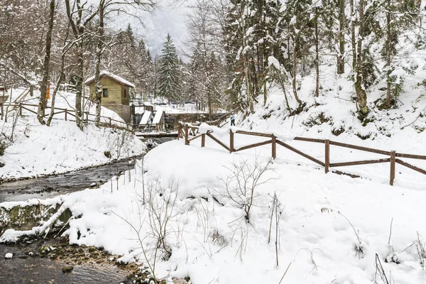 意大利弗留利尼亚朱利亚结霜的冬天 — 图库照片