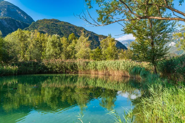 Belo Lago Cavazzo Alpes — Fotografia de Stock