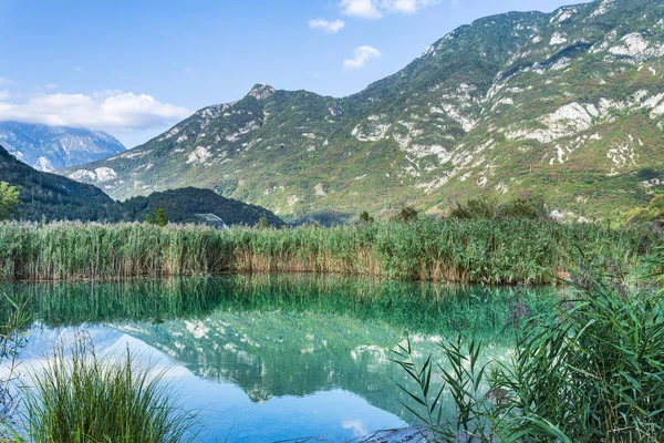 Belo Lago Cavazzo Alpes — Fotografia de Stock
