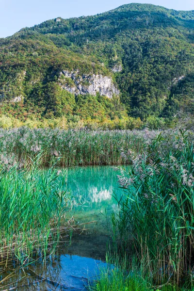 Güzel Lago Cavazzo Alplerde — Stok fotoğraf