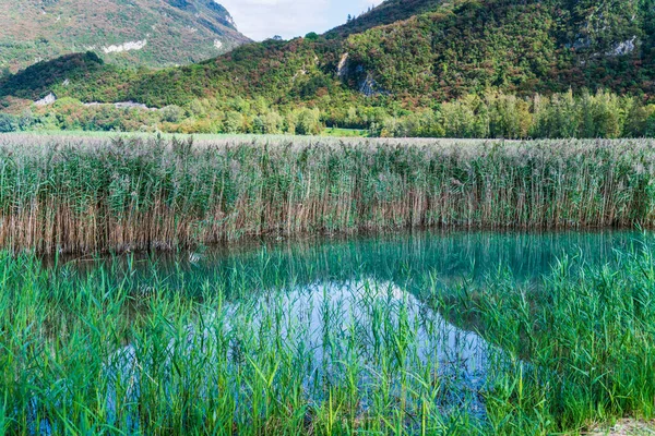 Beautiful Lago Cavazzo Alps — Stock Photo, Image