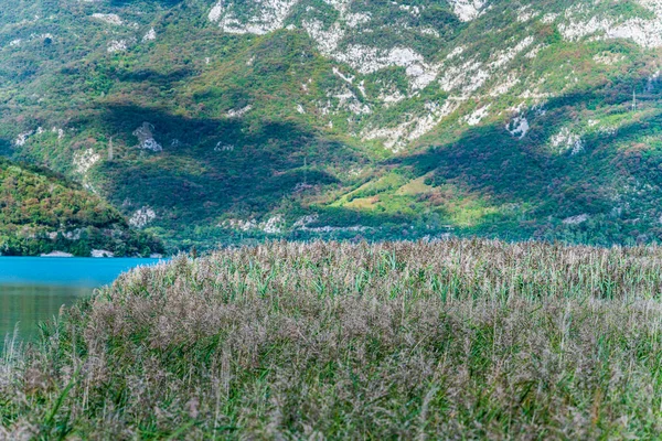 Belo Lago Cavazzo Alpes — Fotografia de Stock