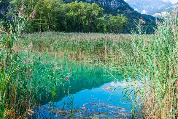 Belo Lago Cavazzo Alpes — Fotografia de Stock