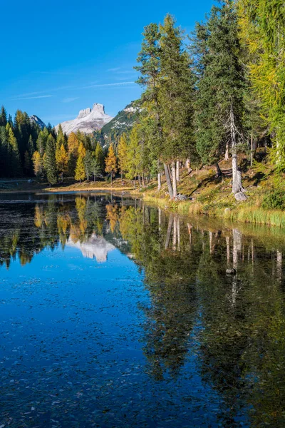 Осенние Цвета Озере Анторно Волшебные Проблески Доломитов Три Вершины Лаваредо — стоковое фото